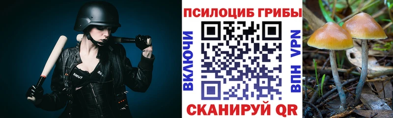 где купить   Фурманов  Псилоцибиновые грибы Magic Shrooms 